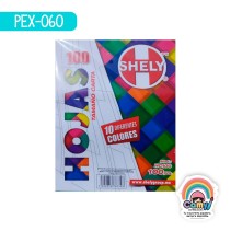 HOJA DE COLOR SHELY C/100 SURTIDO