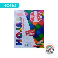 HOJA DE COLOR SHELY C/100 SURTIDO