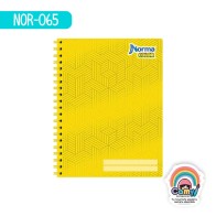 CUAD DO AMER NORMA COLOR RY 100H
