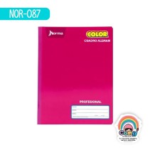 CUAD COS PROF NORMA COLOR 360 GRADOS C14 100H
