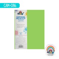 CARTULINA CARTA CAMY VERDE LIMON 180GR 50H