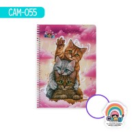 CUADERNO ESPIRAL-PROF-100H-CAMY-C BLANCO