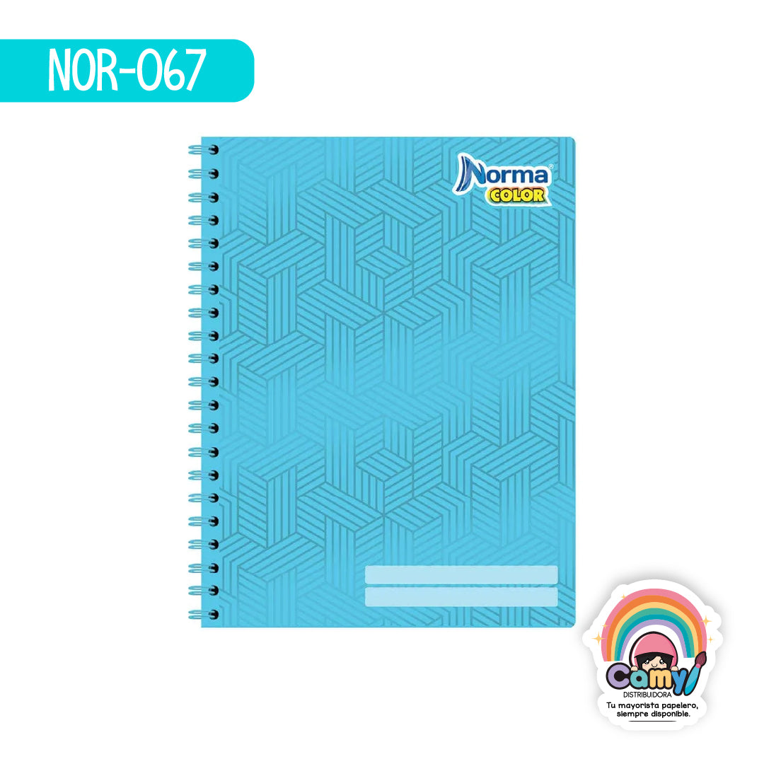 NOR-067 CUAD DO AMER NORMA COLOR C7 100H