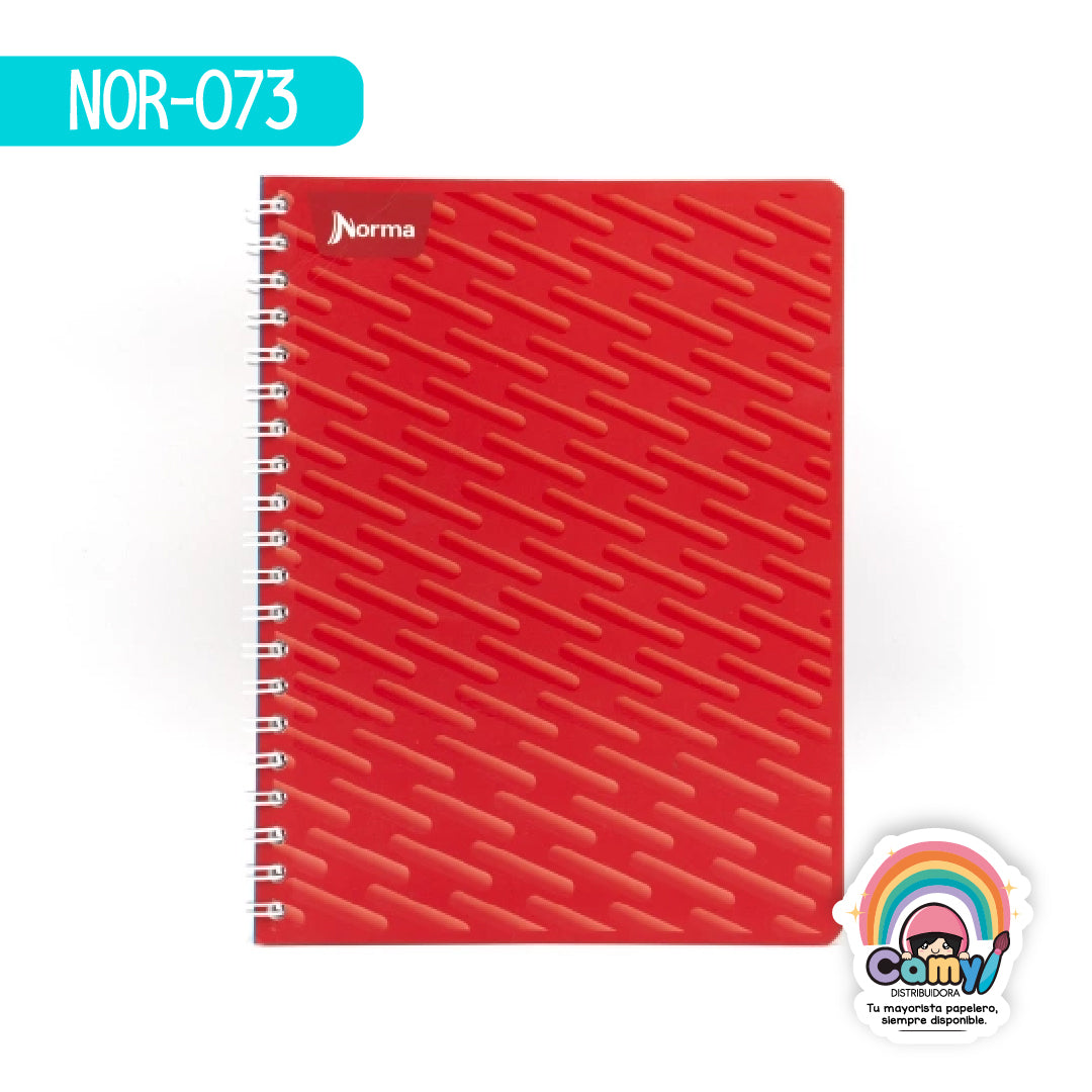 NOR-073 CUAD DO AMER NORMA RY 100H