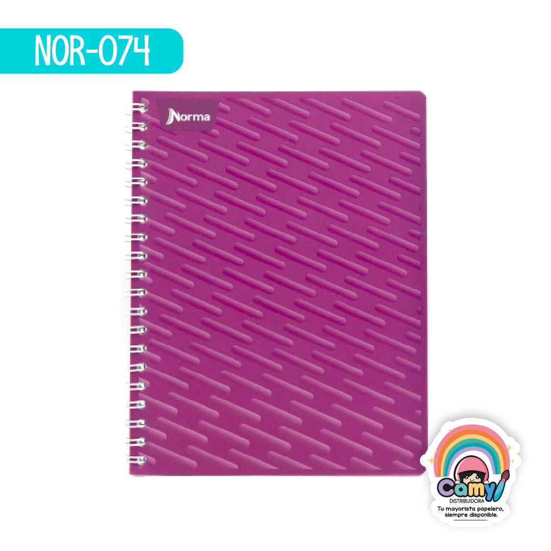 NOR-074 CUAD DO AMER NORMA C5 100H