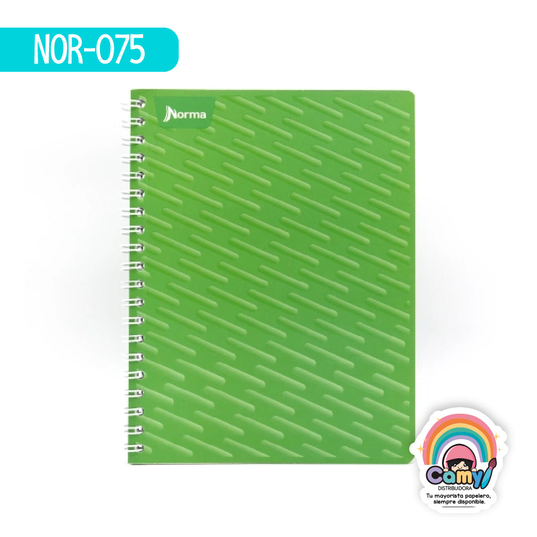 NOR-075 CUAD DO AMER NORMA C7 100H