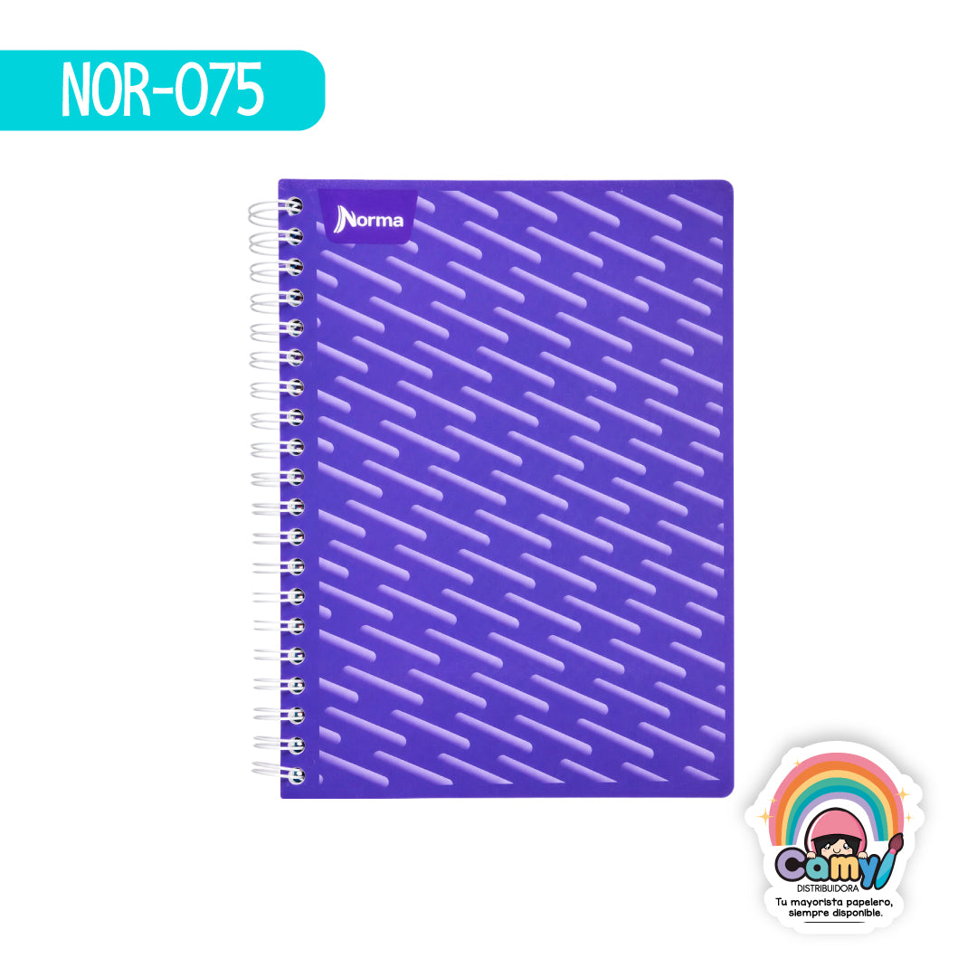 NOR-075 CUAD DO AMER NORMA C7 100H