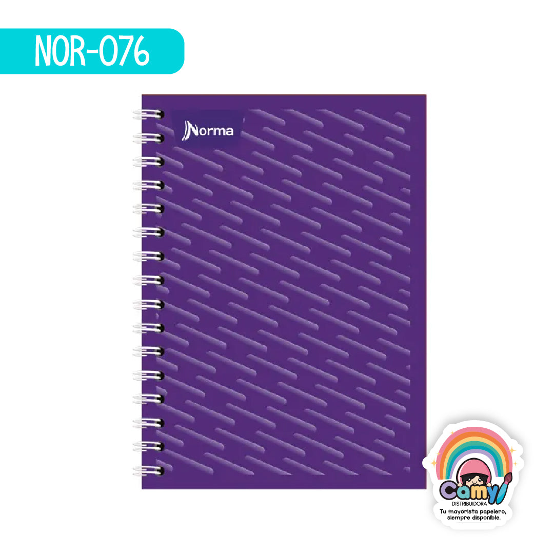NOR-076 CUAD DO FRAN NORMA RY 100H