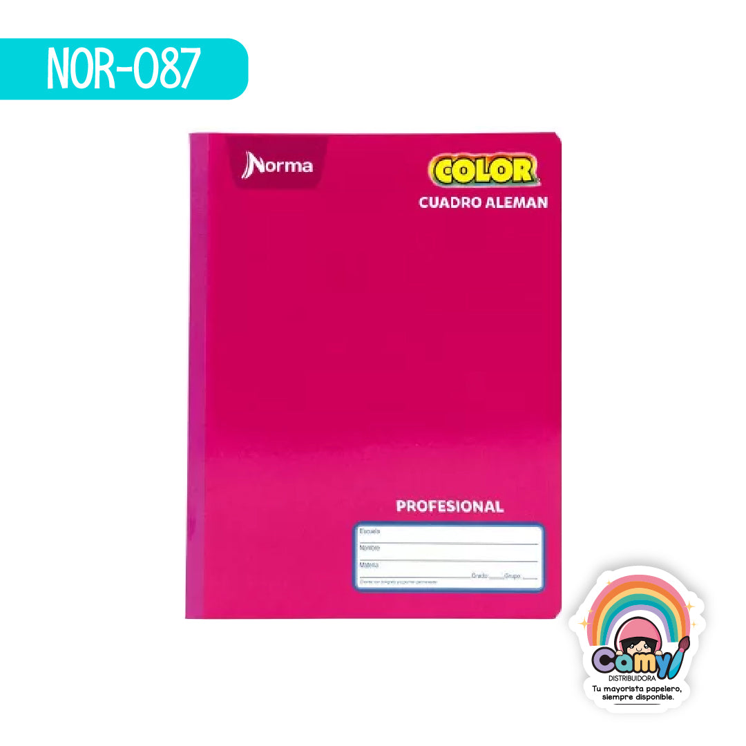 NOR-087 CUAD COS PROF NORMA COLOR 360 GRADOS C14 100H