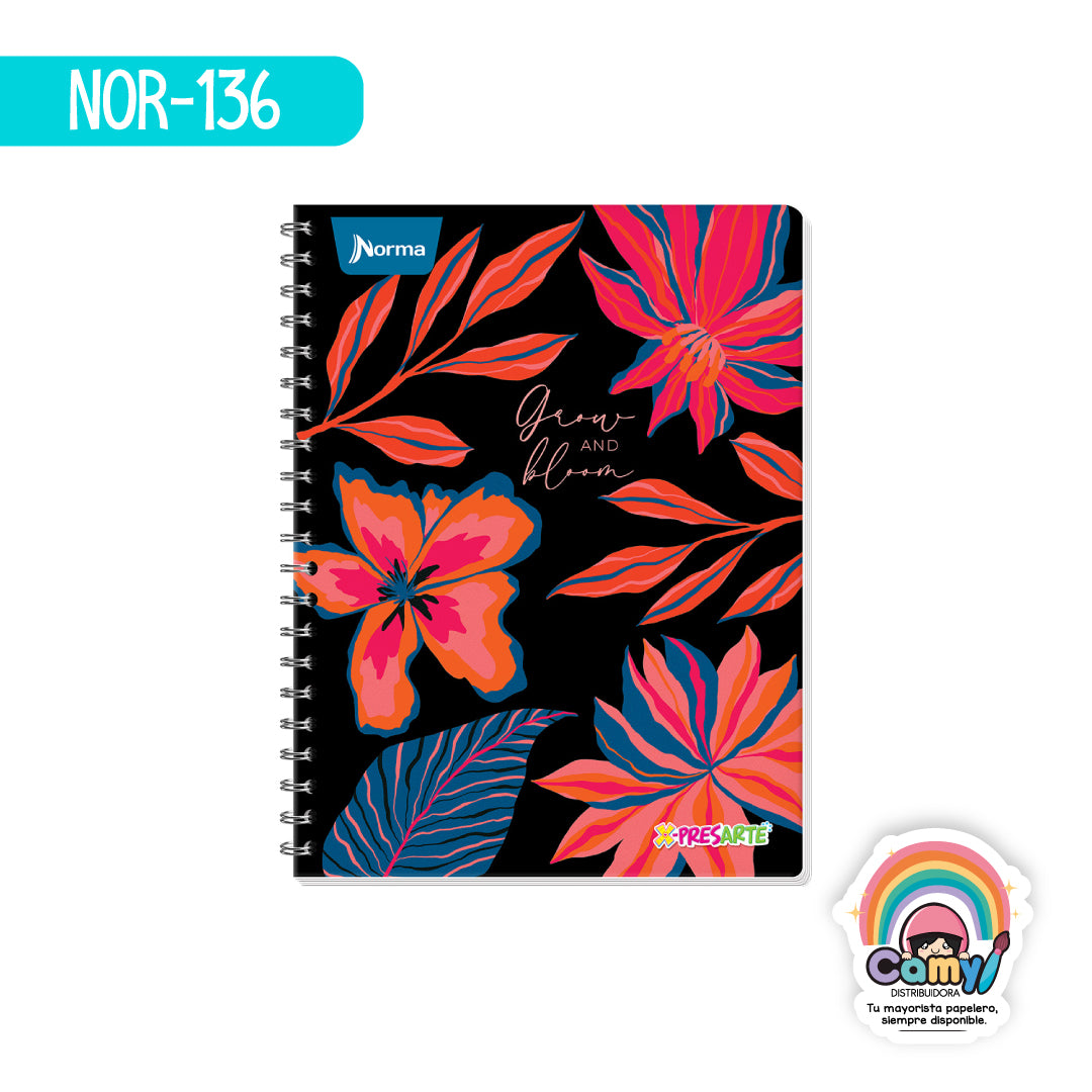 NOR-136 CUAD DO AMER XPRESARTE C7 100H NORMA