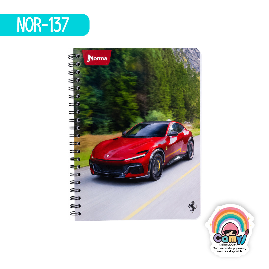 NOR-137 CUAD DO PROF FERRARI RY 100H NORMA