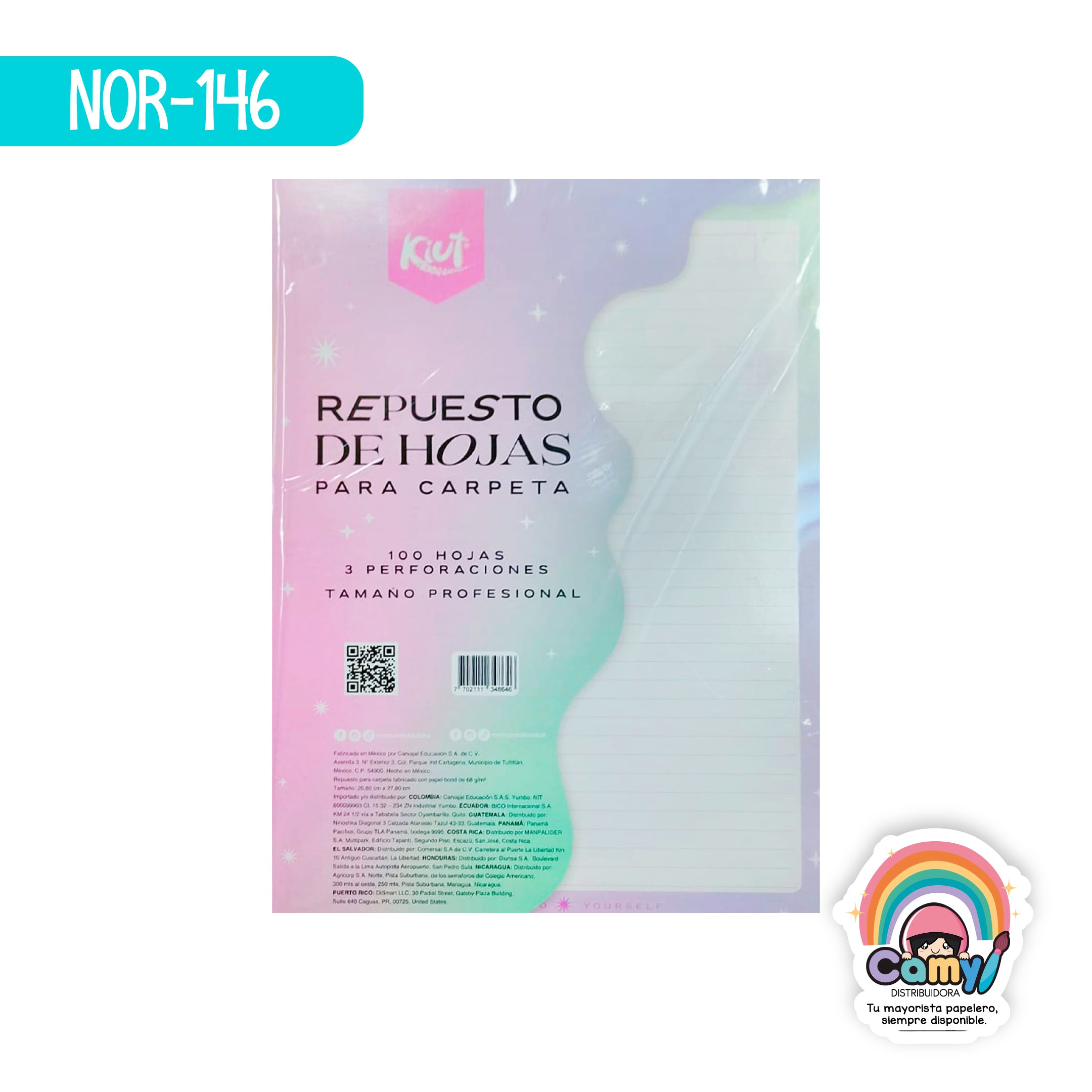 NOR-146 HOJAS REPUESTO CARPETA PROF 100H KIUT