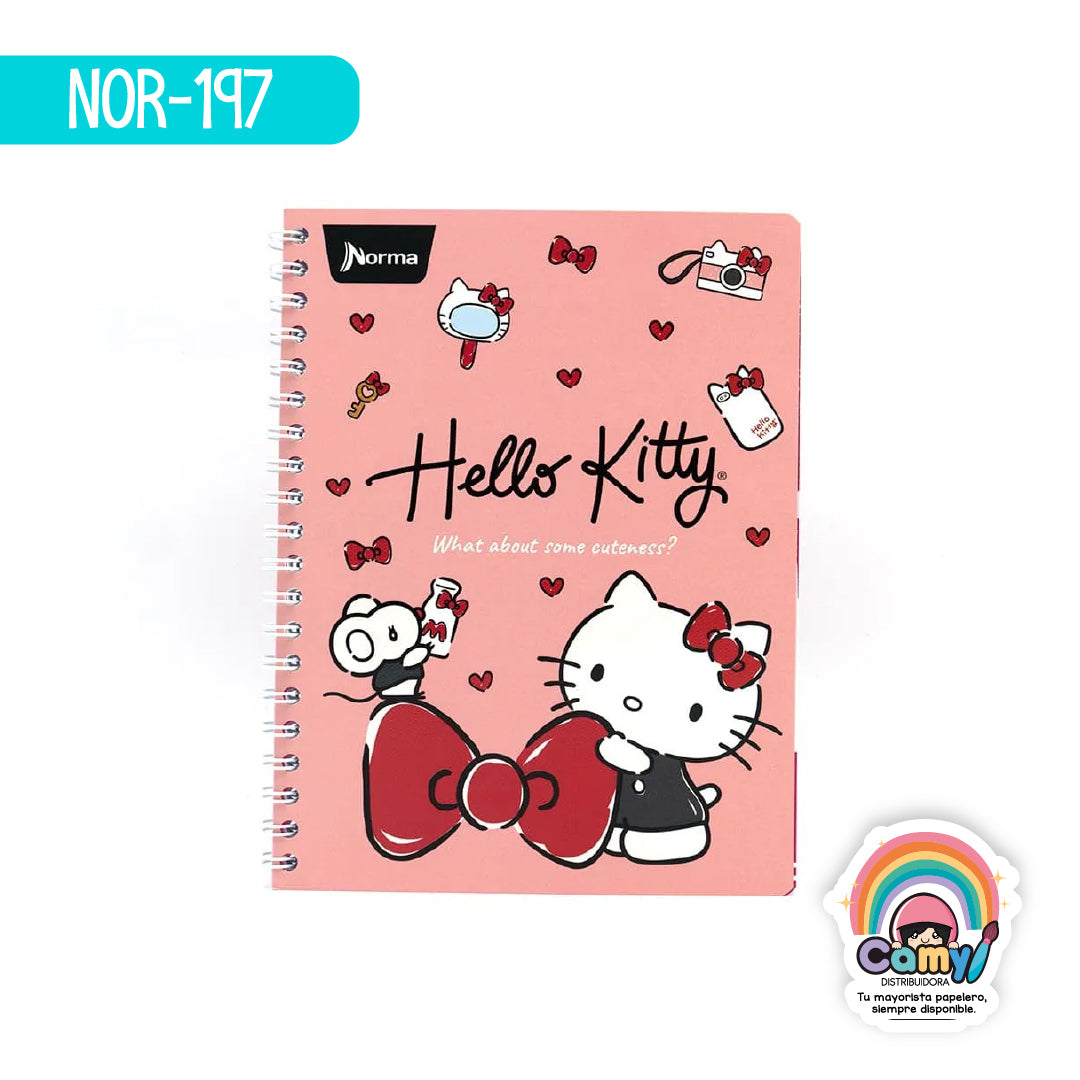 NOR-197 CUAD DO AMER HELLO KITTY C7 100H NORMA