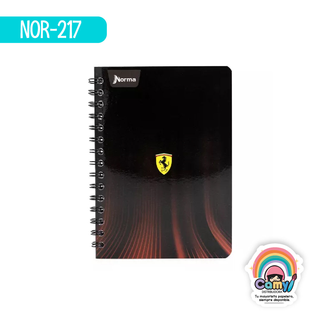 NOR-217 CUAD DO FRAN FERRARI RY 100H NORMA