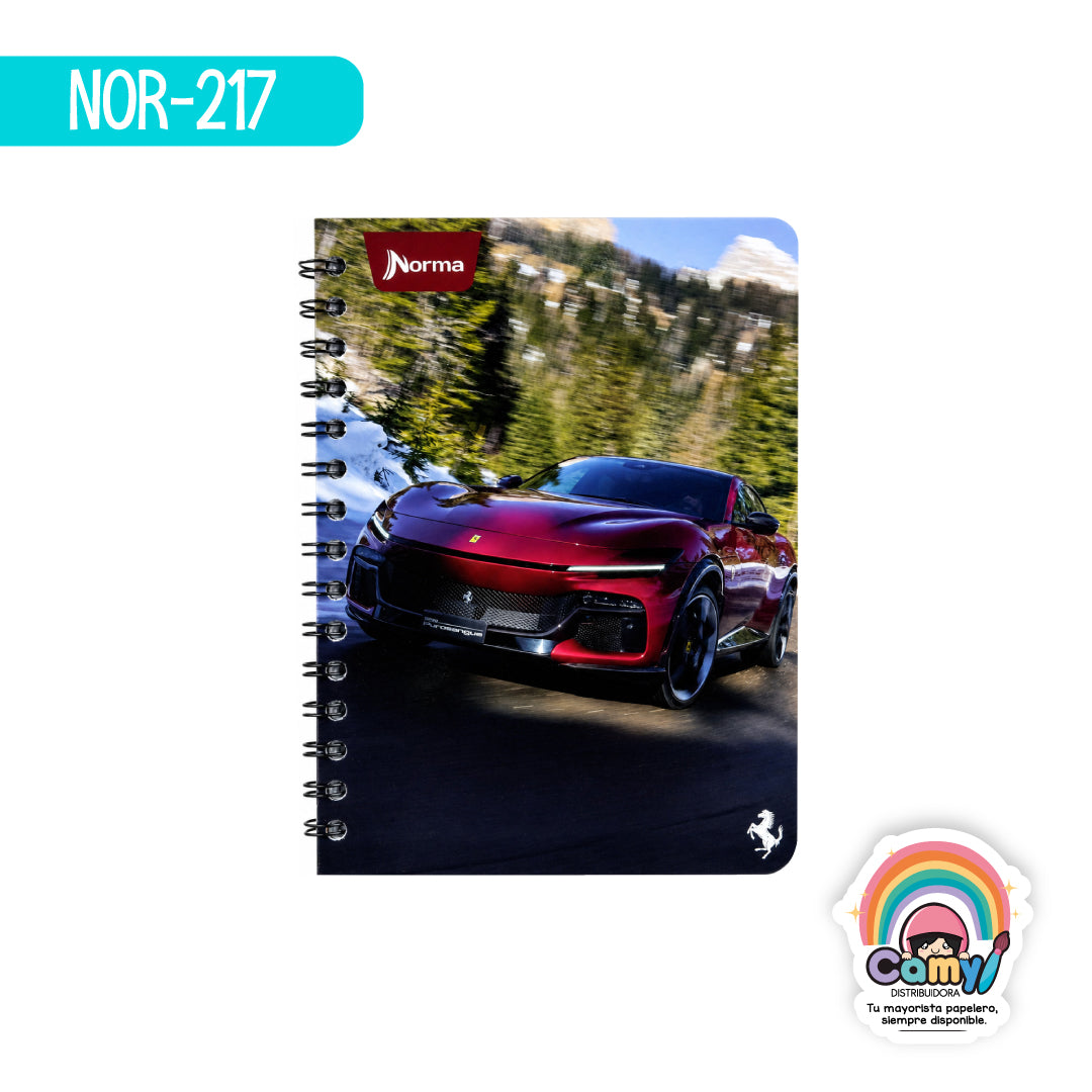 NOR-217 CUAD DO FRAN FERRARI RY 100H NORMA