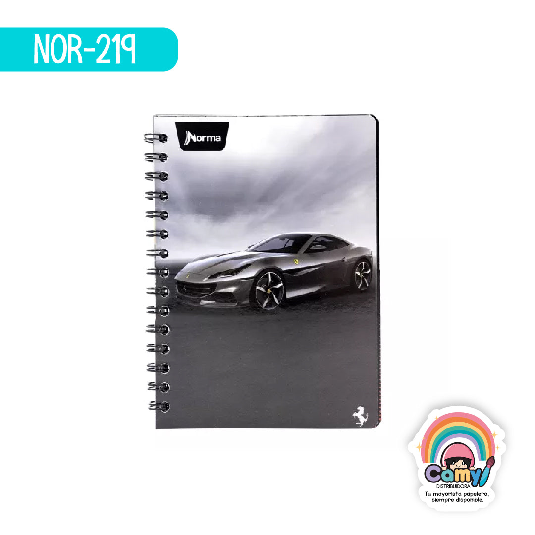 NOR-219 CUAD DO FRAN FERRARI C7 100H NORMA