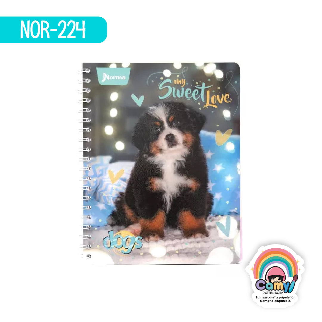 NOR-224 CUAD DO AMER DOGS RY 100H NORMA