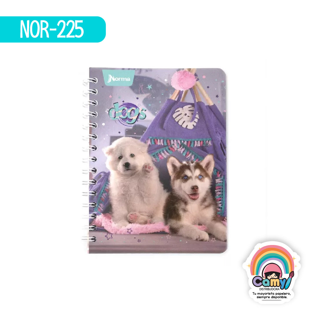 NOR-225 CUAD DO FRAN DOGS C5 100H NORMA
