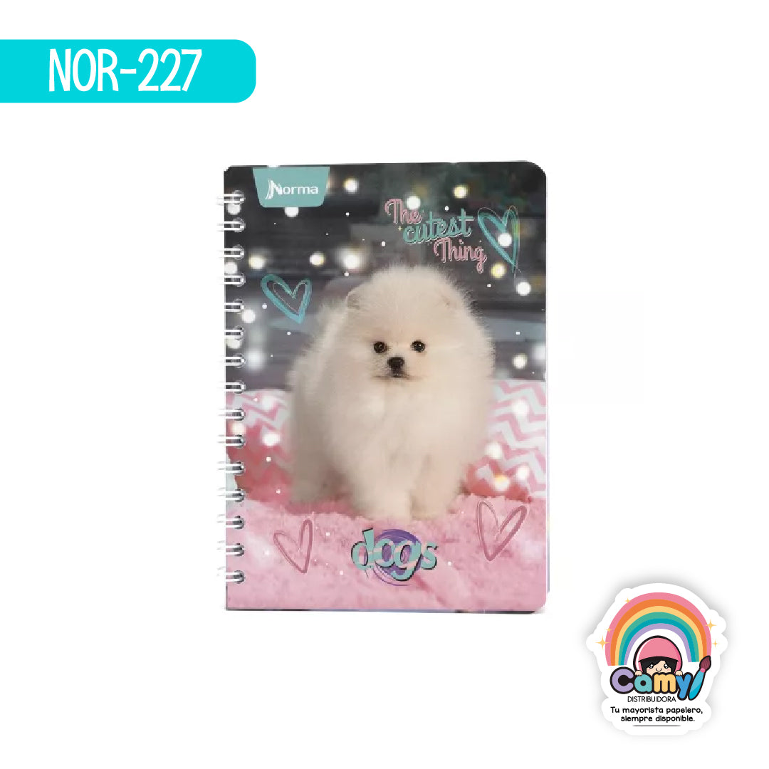 NOR-227 CUAD DO FRAN DOGS RY 100H NORMA