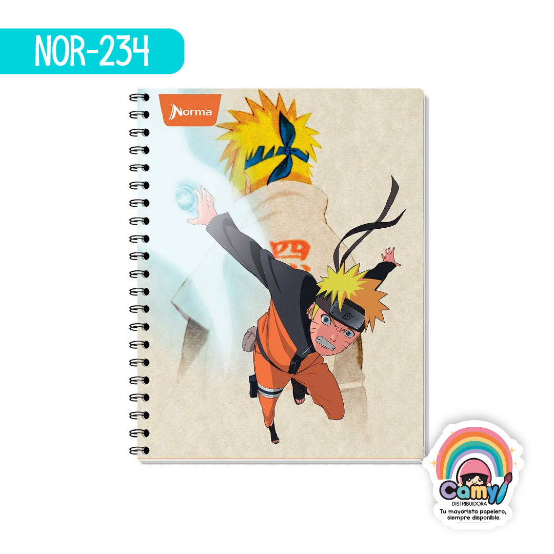 NOR-234 CUAD DO AMER NARUTO RY 100H NORMA