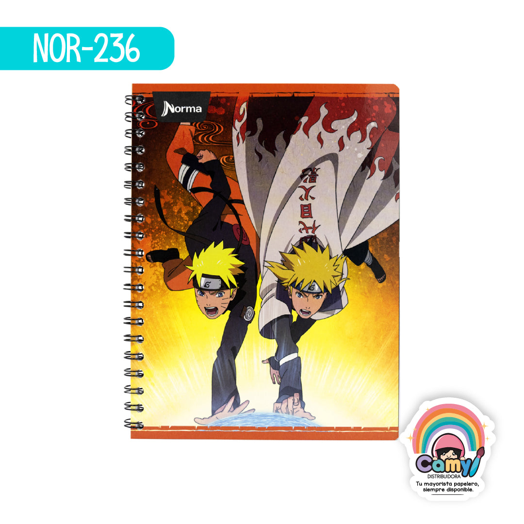 NOR-236 CUAD DO AMER NARUTO C7 100H NORMA
