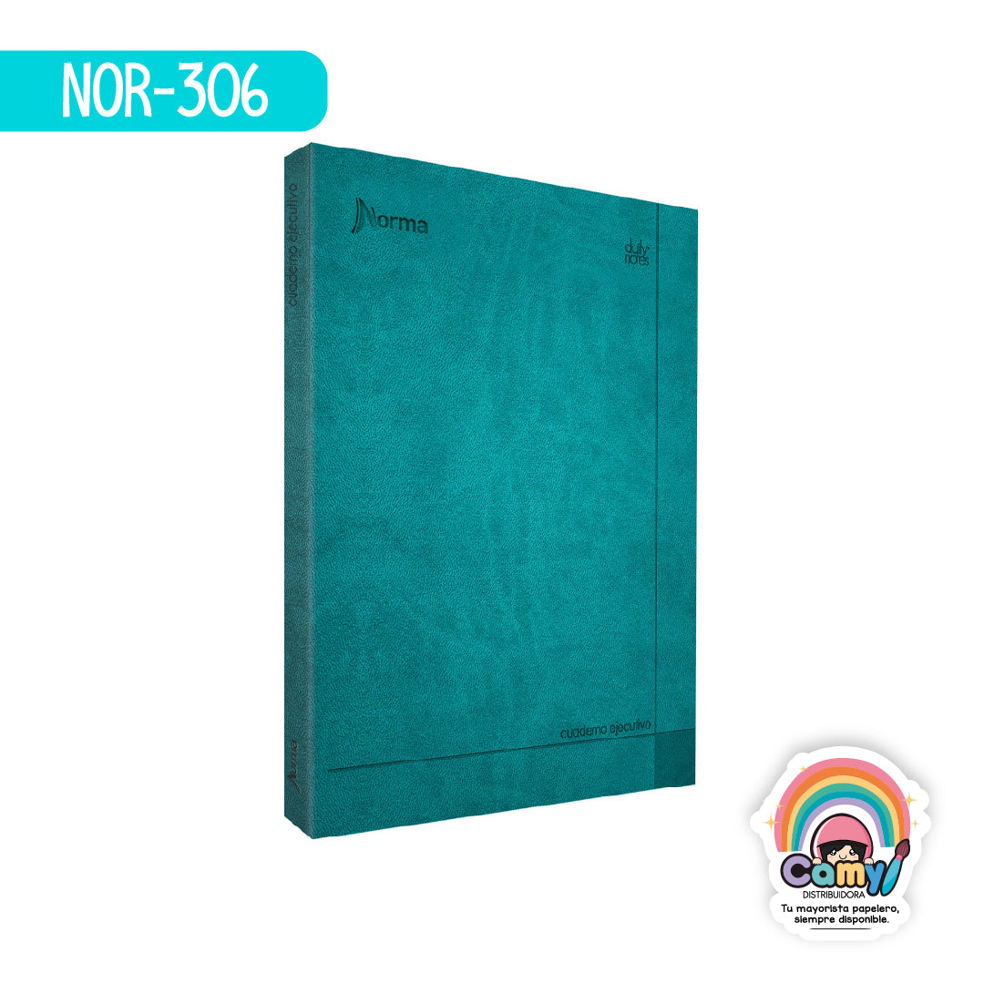 NOR-306 CUAD DO EJE MED DAILY NOTES RY 100H NORMA