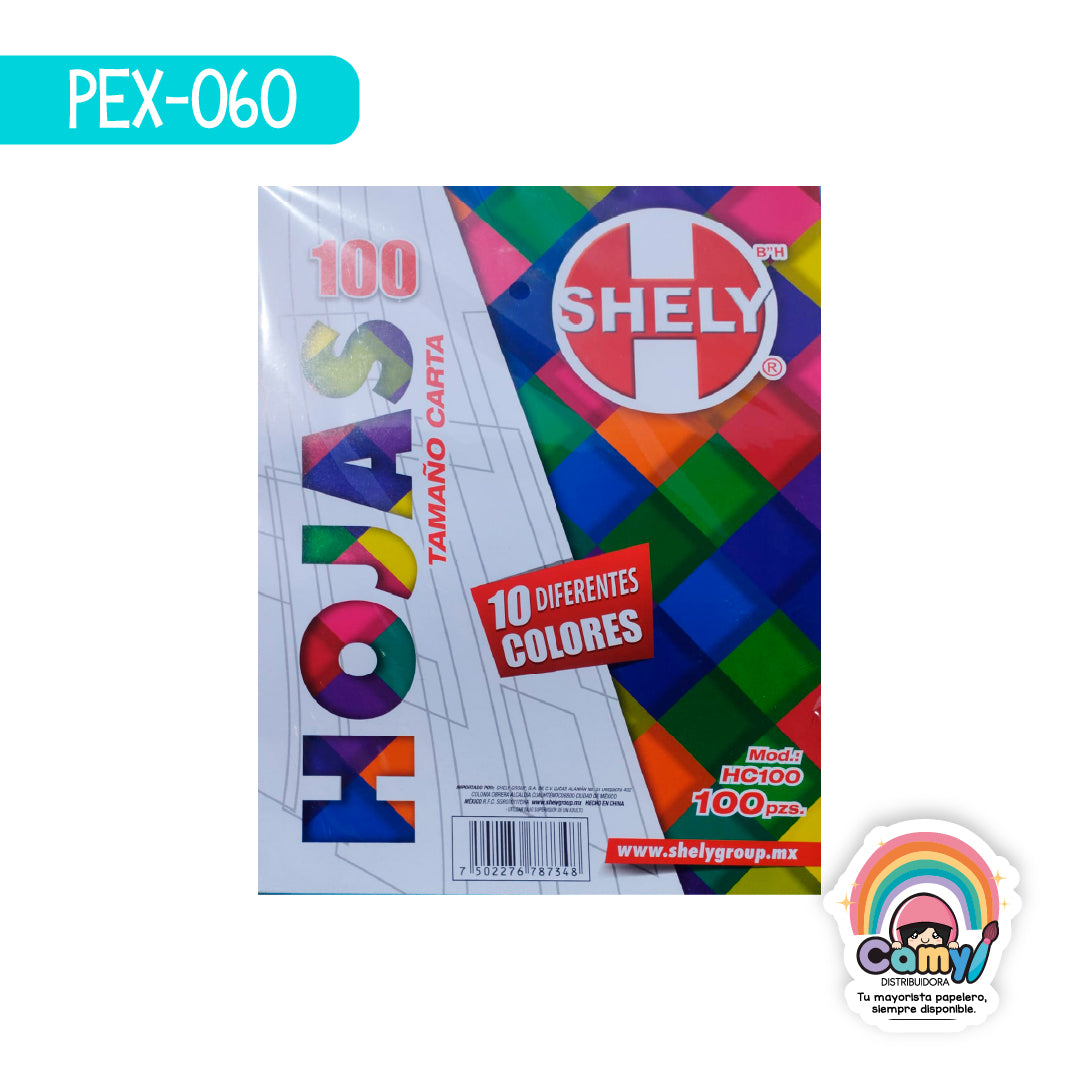 PEX-060 HOJA DE COLOR SHELY C/100 SURTIDO